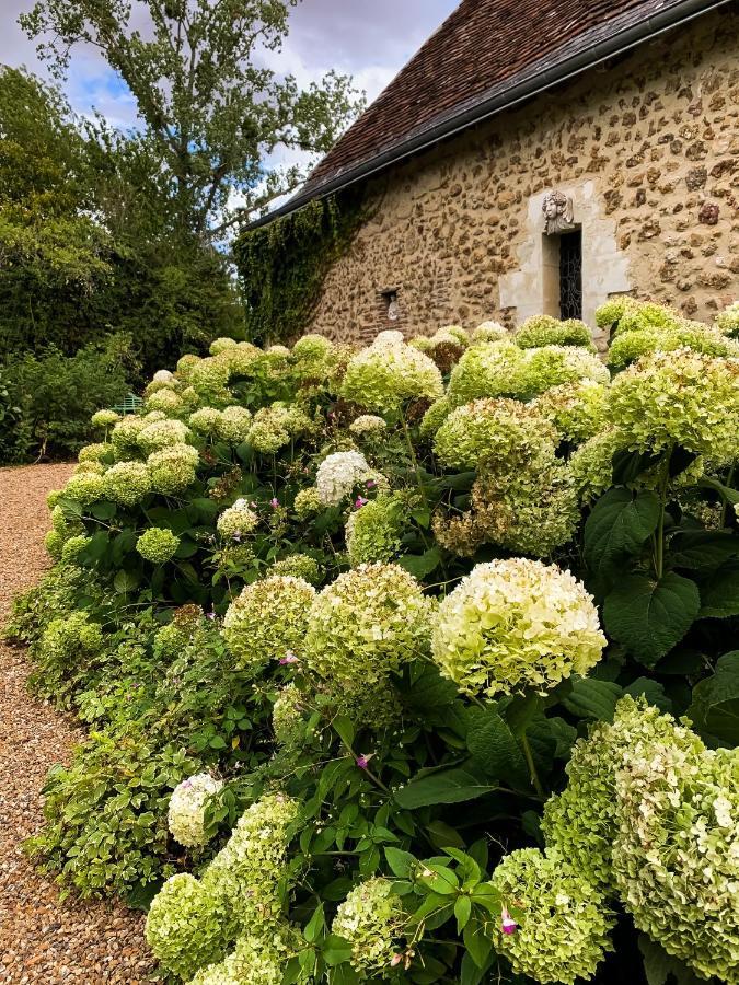 Bed and Breakfast Le Manoir De Maucartier Monnaie Екстер'єр фото